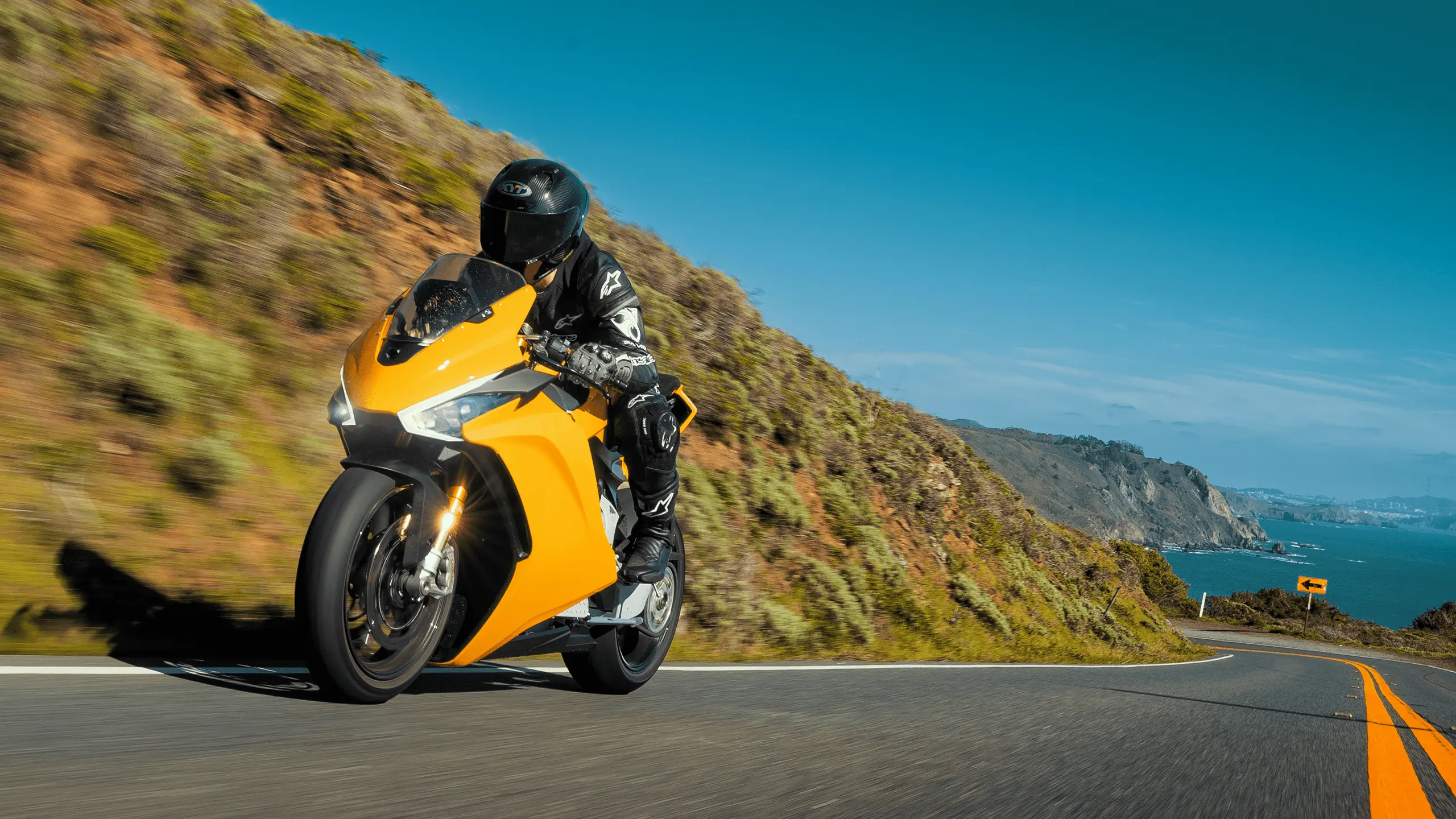 Damon Newsletter Sign Up