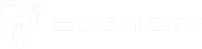 Damon logo